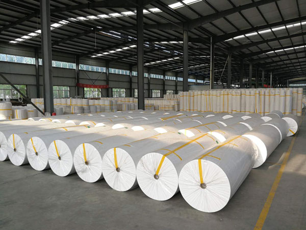 桓台狭缝式涤纶纺粘无纺布